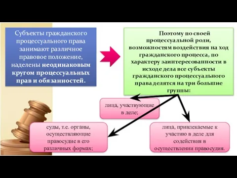 Субъекты гражданского процессуального права занимают различное правовое положение, наделены неодинаковым кругом