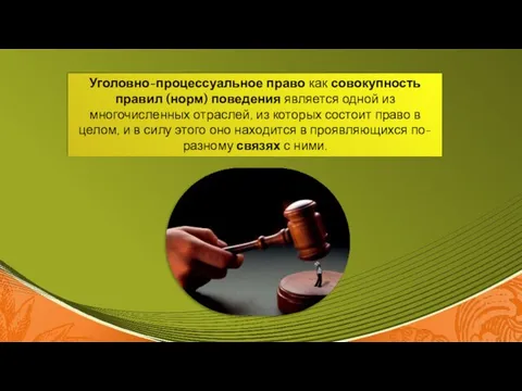 Уголовно-процессуальное право как совокупность правил (норм) поведения является одной из многочисленных