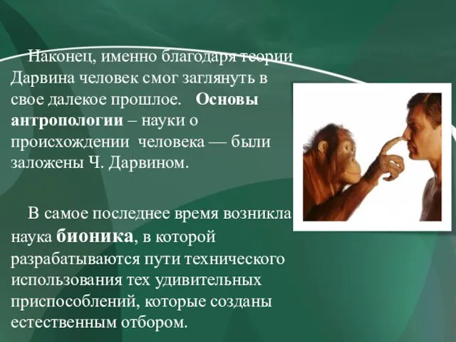 Наконец, именно благодаря теории Дарвина человек смог заглянуть в свое далекое