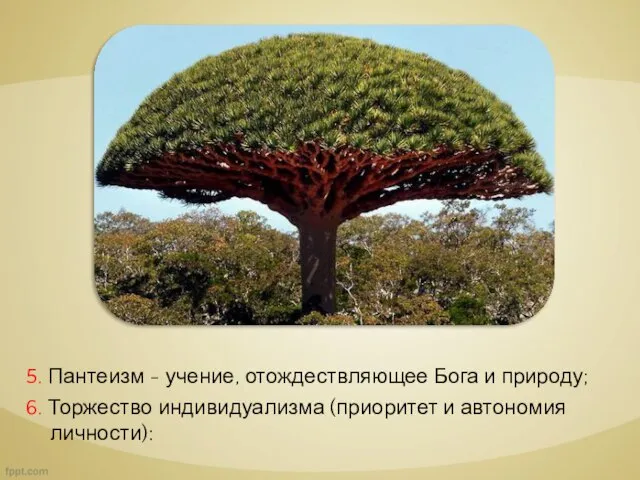 5. Пантеизм - учение, отождествляющее Бога и природу; 6. Торжество индивидуализма (приоритет и автономия личности):