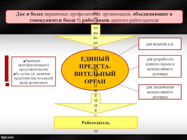 Две и более первичных профсоюзных организации, объединяющие в совокупности более ½