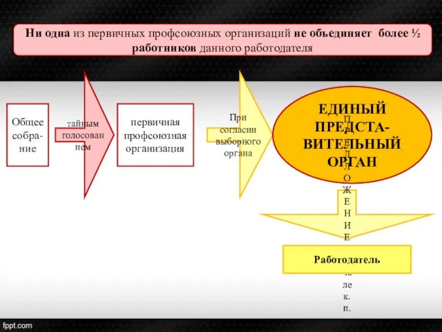 Ни одна из первичных профсоюзных организаций не объединяет более ½ работников