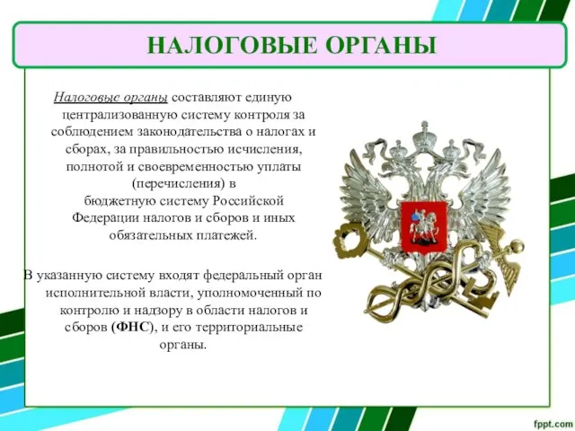 Налоговые органы составляют единую централизованную систему контроля за соблюдением законодательства о