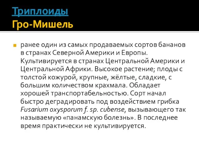 Триплоиды Гро-Мишель ранее один из самых продаваемых сортов бананов в странах