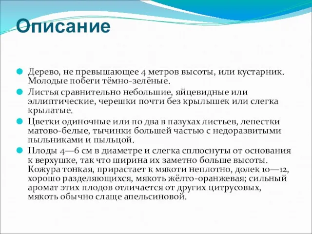 Описание Дерево, не превышающее 4 метров высоты, или кустарник. Молодые побеги