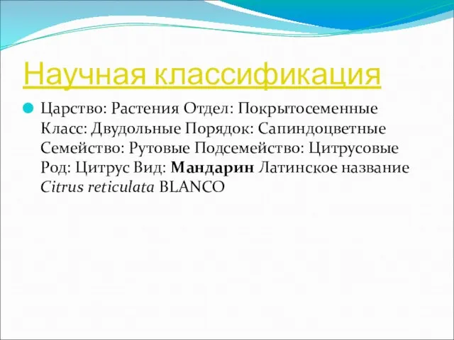 Научная классификация Царство: Растения Отдел: Покрытосеменные Класс: Двудольные Порядок: Сапиндоцветные Семейство: