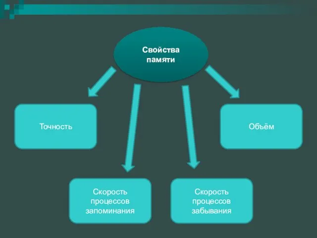 Свойства памяти Скорость процессов забывания Объём Точность Скорость процессов запоминания