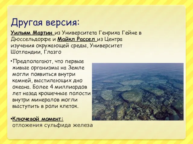 Другая версия: Уильям Мартин из Университета Генриха Гейне в Дюссельдорфе и