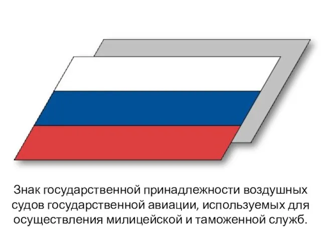 Знак государственной принадлежности воздушных судов государственной авиации, используемых для осуществления милицейской и таможенной служб.