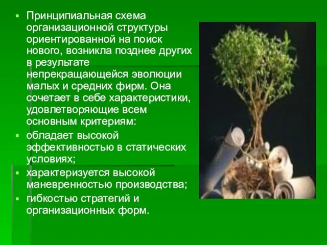 Принципиальная схема организационной структуры ориентированной на поиск нового, возникла позднее других