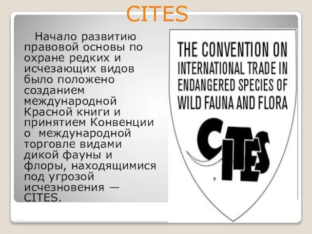 Начало развитию правовой основы по охране редких и исчезающих видов было