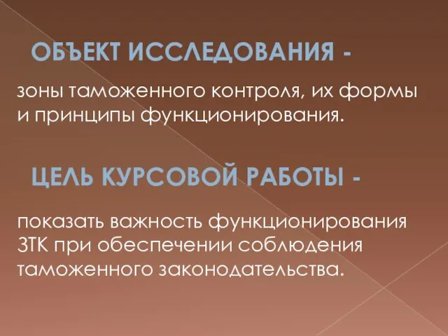 Объект исследования - зоны таможенного контроля, их формы и принципы функционирования.