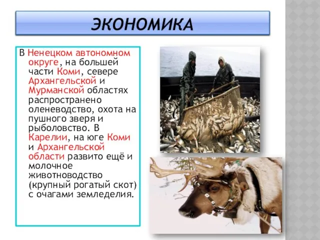 Экономика В Ненецком автономном округе, на большей части Коми, севере Архангельской