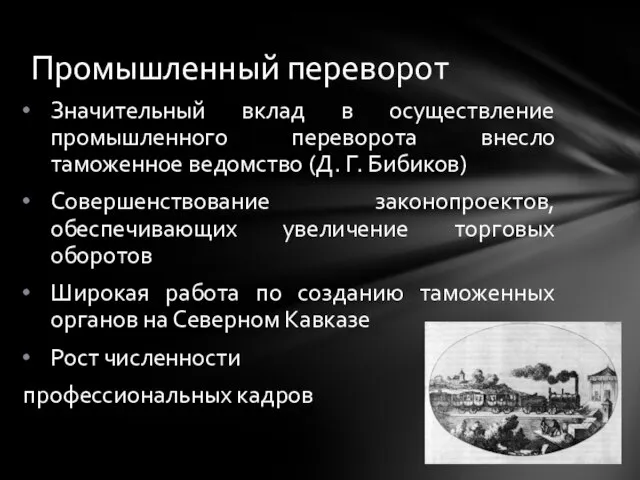 Значительный вклад в осуществление промышленного переворота внесло таможенное ведомство (Д. Г.