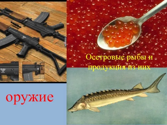 оружие Осетровые рыбы и продукция из них
