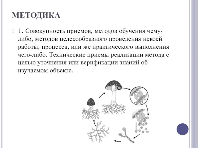 МЕТОДИКА 1. Совокупность приемов, методов обучения чему-либо, методов целесообразного проведения некоей