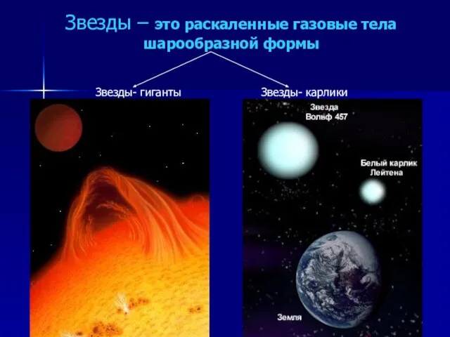 Звезды – это раскаленные газовые тела шарообразной формы Звезды- гиганты Звезды- карлики