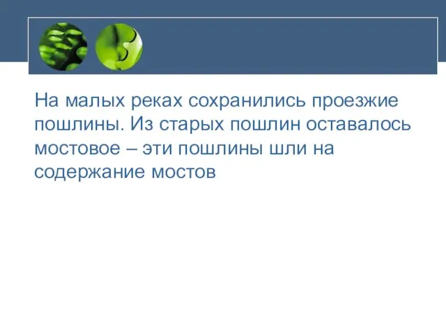 На малых реках сохранились проезжие пошлины. Из старых пошлин оставалось мостовое