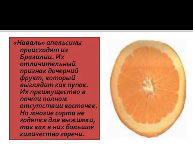 «Наваль» апельсины происходят из Бразилии. Их отличительный признак дочерний фрукт, который