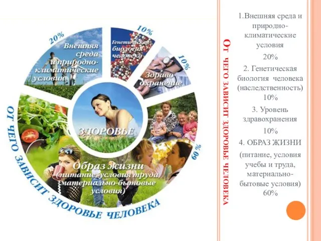 От чего зависит здоровье человека 1.Внешняя среда и природно-климатические условия 20%