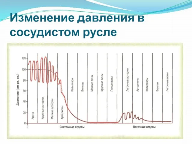 Изменение давления в сосудистом русле