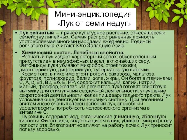 Мини-энциклопедия «Лук от семи недуг» Лук репчатый — пряное культурное растение,