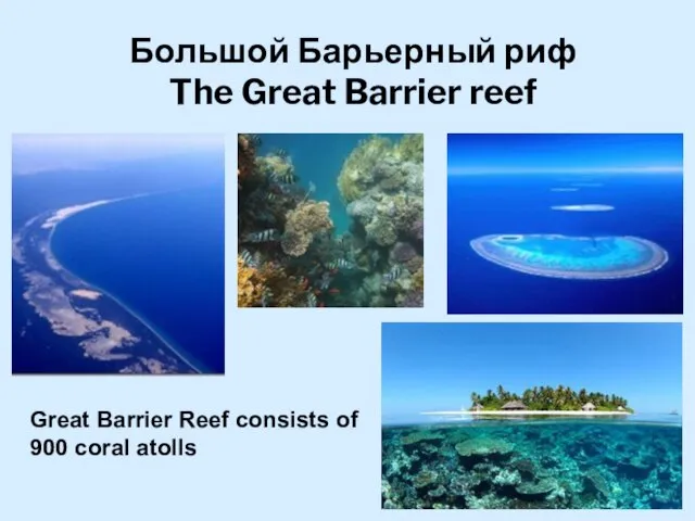 Большой Барьерный риф The Great Barrier reef Great Barrier Reef consists of 900 coral atolls