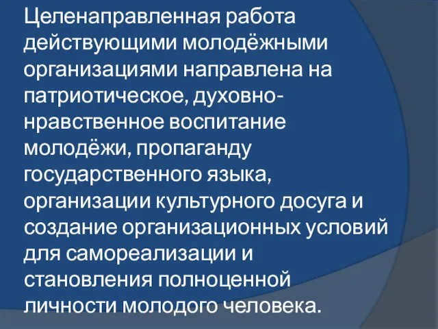 Целенаправленная работа действующими молодёжными организациями направлена на патриотическое, духовно-нравственное воспитание молодёжи,