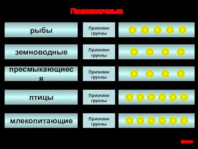 пресмыкающиеся птицы млекопитающие земноводные рыбы Позвоночные Признаки группы Признаки группы Признаки