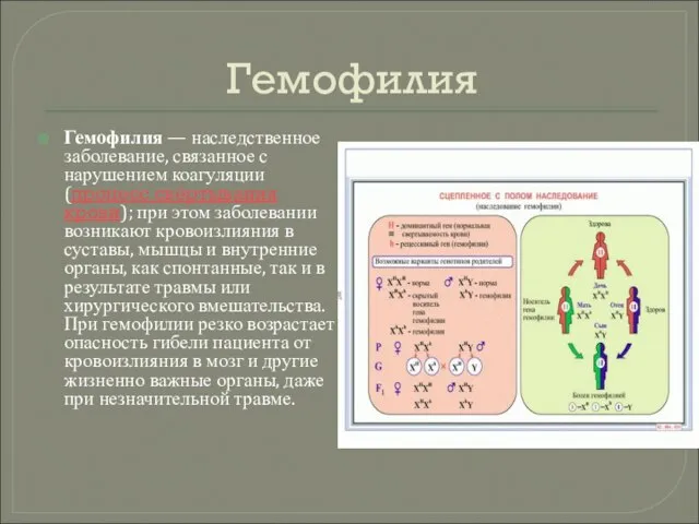 Гемофилия Гемофилия — наследственное заболевание, связанное с нарушением коагуляции (процесс свёртывания