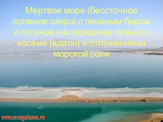 Мертвое море (бессточное соленое озеро) с печаным баром и лагуной (на