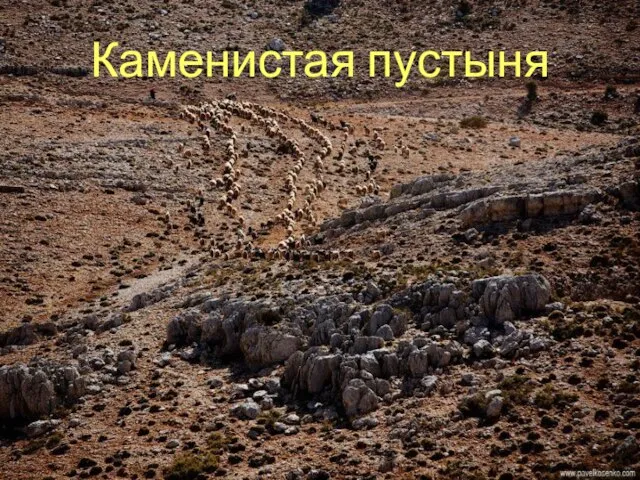 Каменистая пустыня