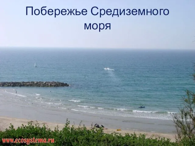 Побережье Средиземного моря