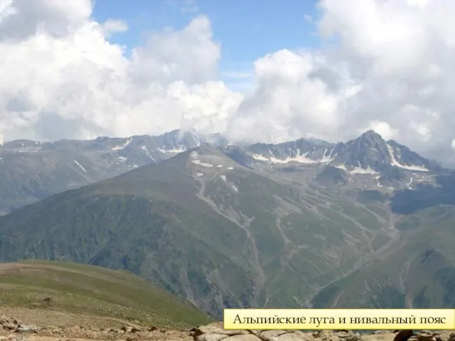 Альпийские луга и нивальный пояс