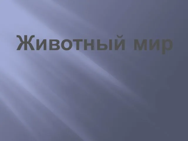 Животный мир