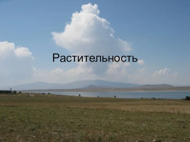 Растительность