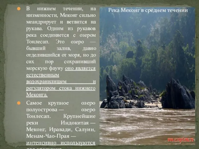 В нижнем течении, на низменности, Меконг сильно меандрирует и ветвится на