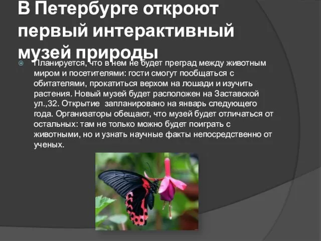 В Петербурге откроют первый интерактивный музей природы Планируется, что в нем