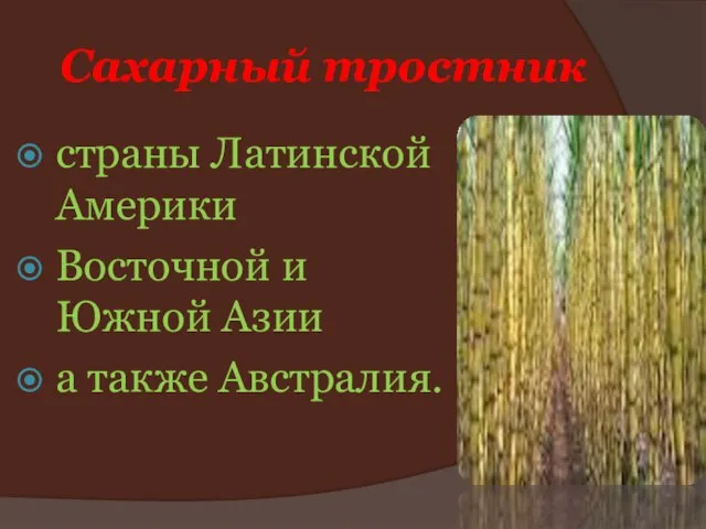 Сахарный тростник страны Латинской Америки Восточной и Южной Азии а также Австралия.