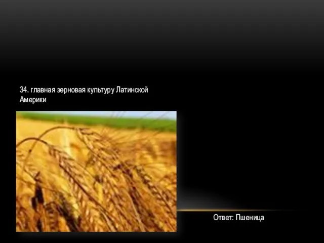 34. главная зерновая культуру Латинской Америки Ответ: Пшеница