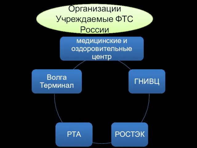 Организации Учреждаемые ФТС России