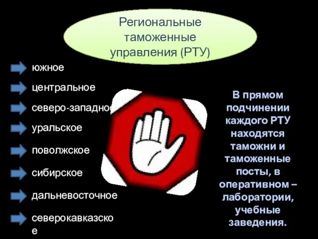 Региональные таможенные управления (РТУ) В прямом подчинении каждого РТУ находятся таможни