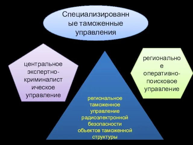 Специализированные таможенные управления центральное экспертно-криминалистическое управление региональное оперативно-поисковое управление региональное таможенное