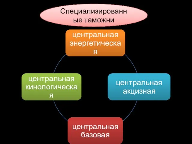 Специализированные таможни