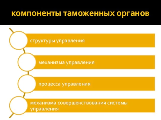 компоненты таможенных органов