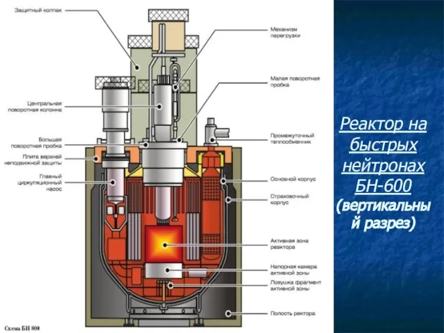 Реактор на быстрых нейтронах БН-600 (вертикальный разрез)
