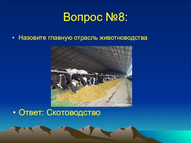 Вопрос №8: Назовите главную отрасль животноводства Ответ: Скотоводство