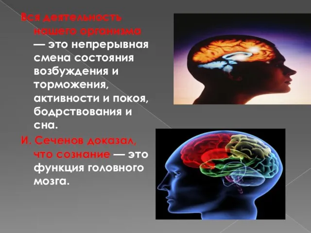 Вся деятельность нашего организма — это непрерывная смена состояния возбуждения и