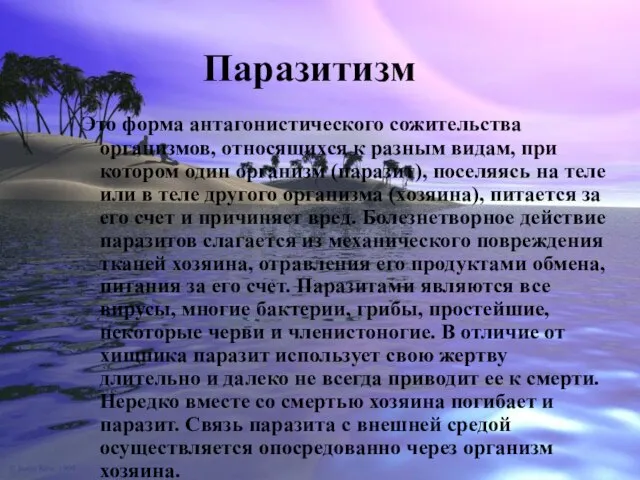 Паразитизм Это форма антагонистического сожительства организмов, относящихся к разным видам, при