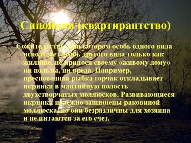 Синойкия (квартирантство) Сожительство, при котором особь одного вида использует особь другого